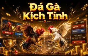 Đá Gà nbgdn3im1zdt